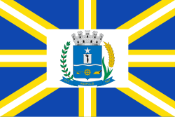 Bandeira de Anápolis - GO